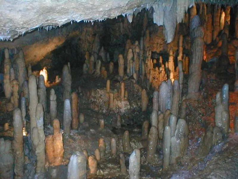 Limestone formations in Harrison’s Cave, Barbados