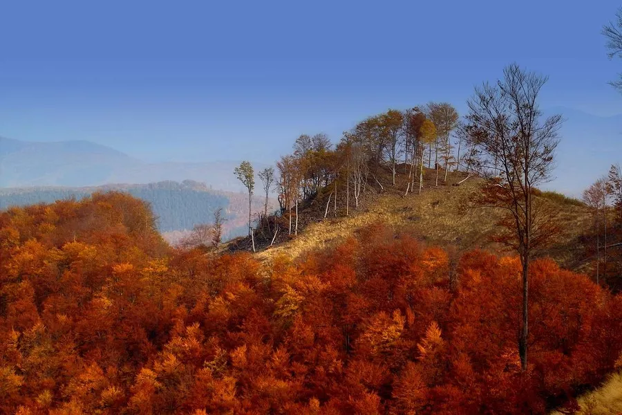 Autumn in Bukki National Park, Hungary 